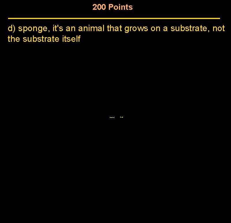 200 Points d) sponge, it's an animal that grows on a substrate, not the 200 Points d) sponge, it's an animal that grows on a substrate, not the