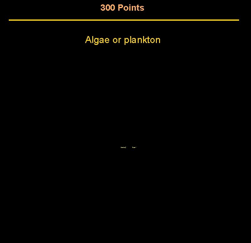 300 Points Algae or plankton Score | Back 300 Points Algae or plankton Score | Back