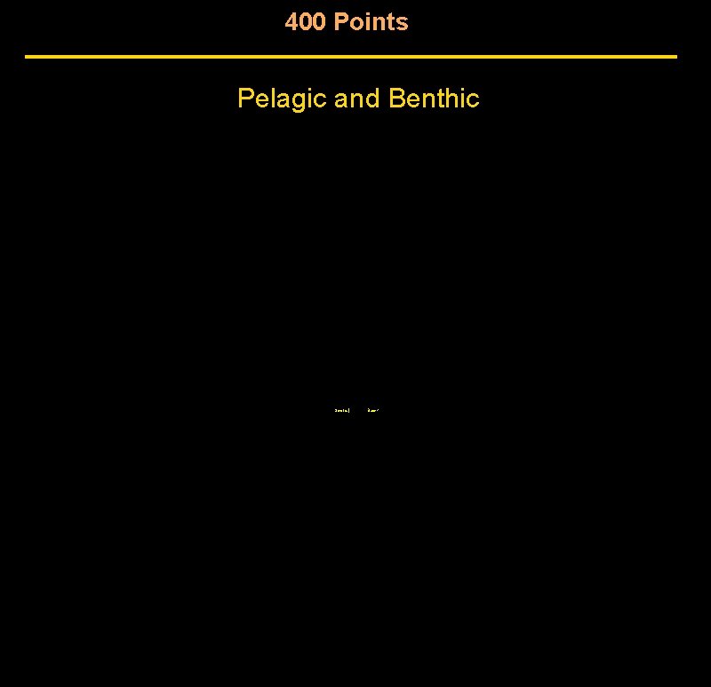 400 Points Pelagic and Benthic Score | Back 400 Points Pelagic and Benthic Score | Back