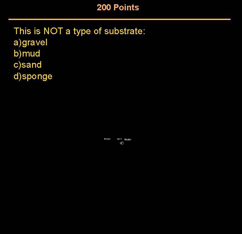 200 Points This is NOT a type of substrate: a)gravel b)mud c)sand d)sponge Answer 200 Points This is NOT a type of substrate: a)gravel b)mud c)sand d)sponge Answer