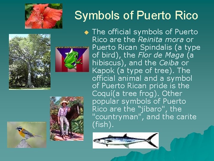 Symbols of Puerto Rico u The official symbols of Puerto Rico are the Reinita