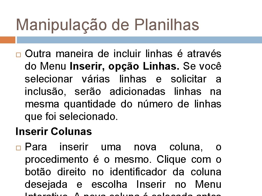 Manipulação de Planilhas Outra maneira de incluir linhas é através do Menu Inserir, opção