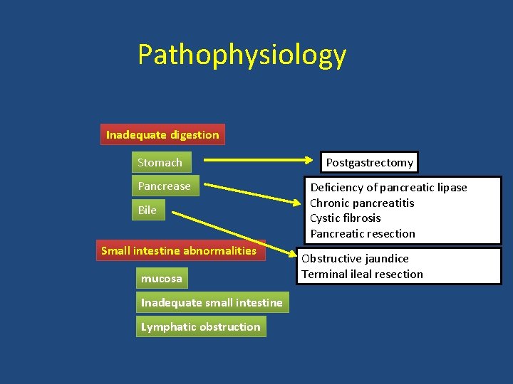 Pathophysiology Inadequate digestion Stomach Pancrease Bile Small intestine abnormalities mucosa Inadequate small intestine Lymphatic