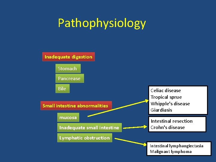 Pathophysiology Inadequate digestion Stomach Pancrease Bile Small intestine abnormalities mucosa Inadequate small intestine Celiac