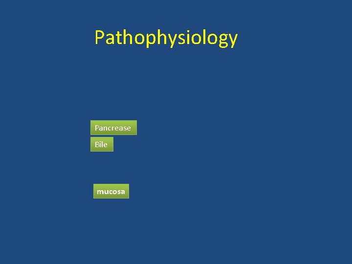 Pathophysiology Pancrease Bile mucosa 