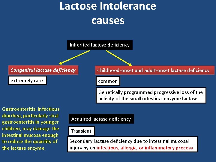 Lactose Intolerance causes Inherited lactase deficiency Congenital lactase deficiency Childhood-onset and adult-onset lactase deficiency