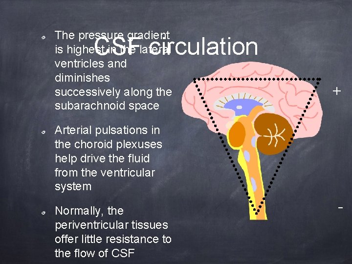 The pressure gradient is highest in the lateral ventricles and diminishes successively along the