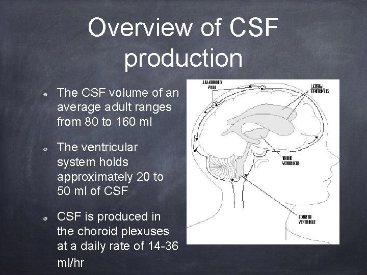 Overview of CSF production The CSF volume of an average adult ranges from 80