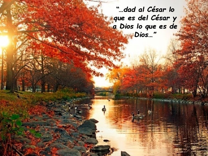 “…dad al César lo que es del César y a Dios lo que es