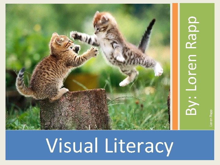 Visual Literacy Loren Rapp By: Loren Rapp 