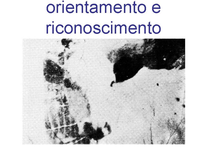 orientamento e riconoscimento 