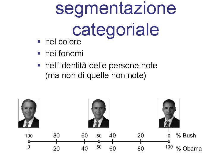 segmentazione categoriale § nel colore § nei fonemi § nell’identità delle persone note (ma