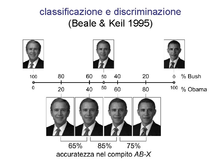 classificazione e discriminazione (Beale & Keil 1995) 
