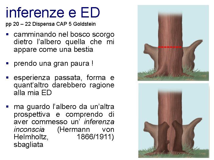 inferenze e ED pp 20 – 22 Dispensa CAP 5 Goldstein § camminando nel