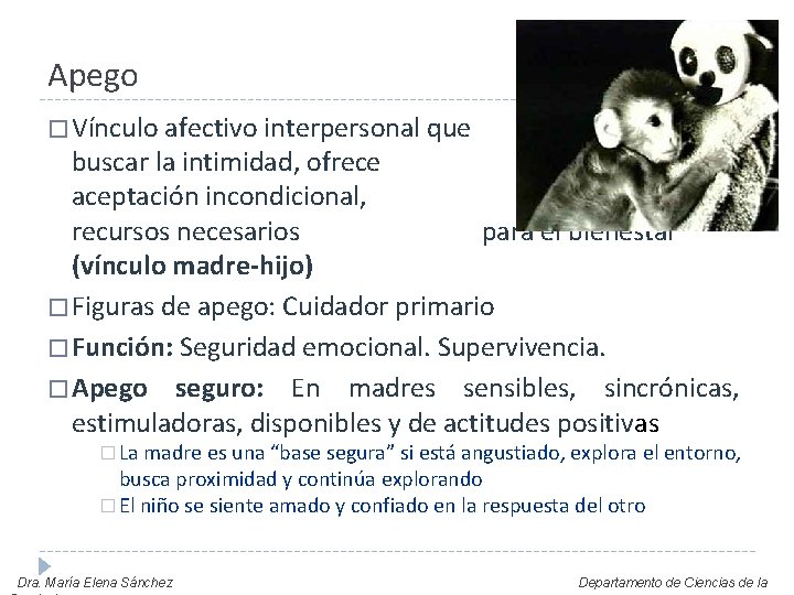 Apego � Vínculo afectivo interpersonal que permite al niño protección y los para el