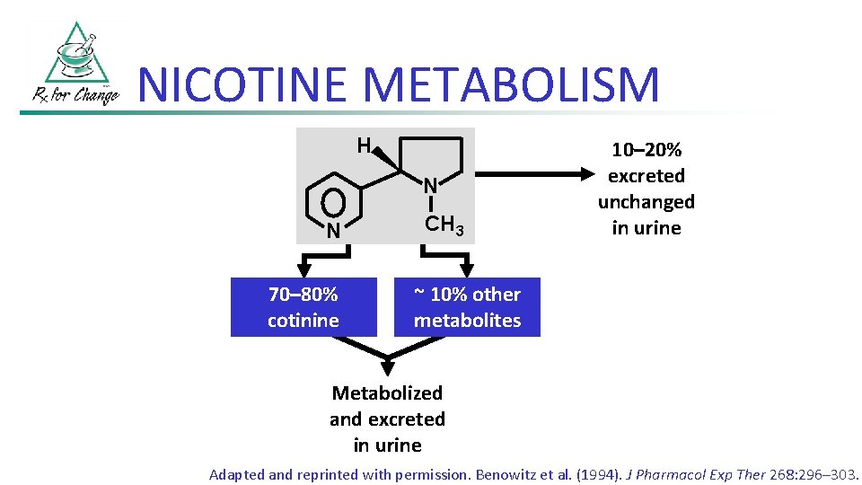 NICOTINE METABOLISM H N N 70– 80% cotinine CH 3 10– 20% excreted unchanged