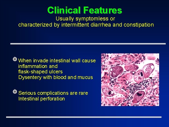 Clinical Features Usually symptomless or characterized by intermittent diarrhea and constipation When invade intestinal