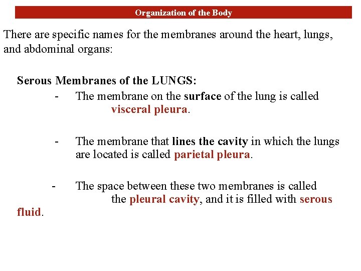 Organization of the Body There are specific names for the membranes around the heart,