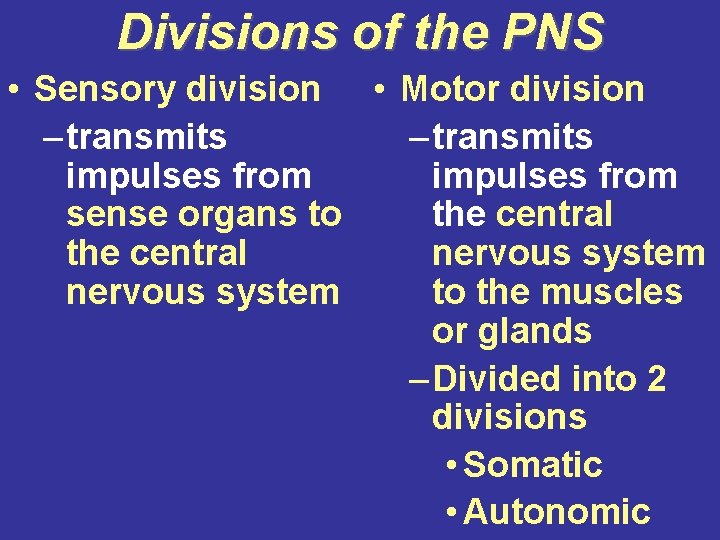 Divisions of the PNS • Sensory division • Motor division – transmits impulses from