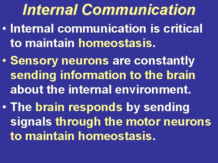 Internal Communication • Internal communication is critical to maintain homeostasis. • Sensory neurons are