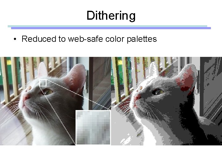 Dithering • Reduced to web-safe color palettes 