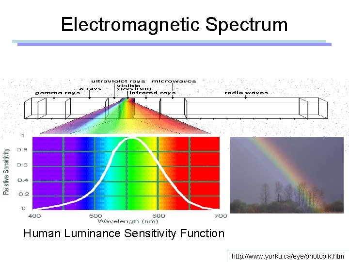 Electromagnetic Spectrum Human Luminance Sensitivity Function http: //www. yorku. ca/eye/photopik. htm 