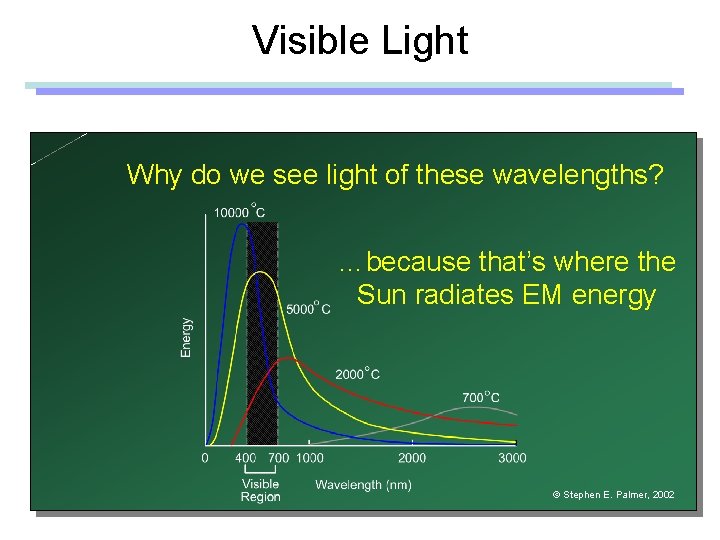 Visible Light Why do we see light of these wavelengths? …because that’s where the