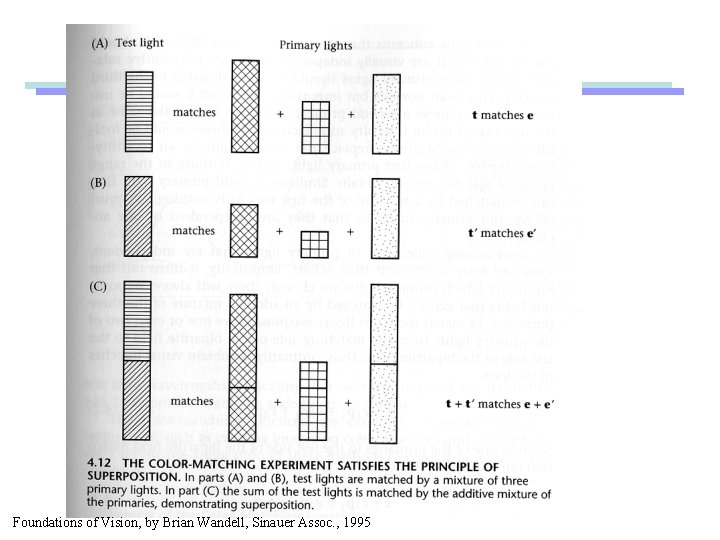 Foundations of Vision, by Brian Wandell, Sinauer Assoc. , 1995 