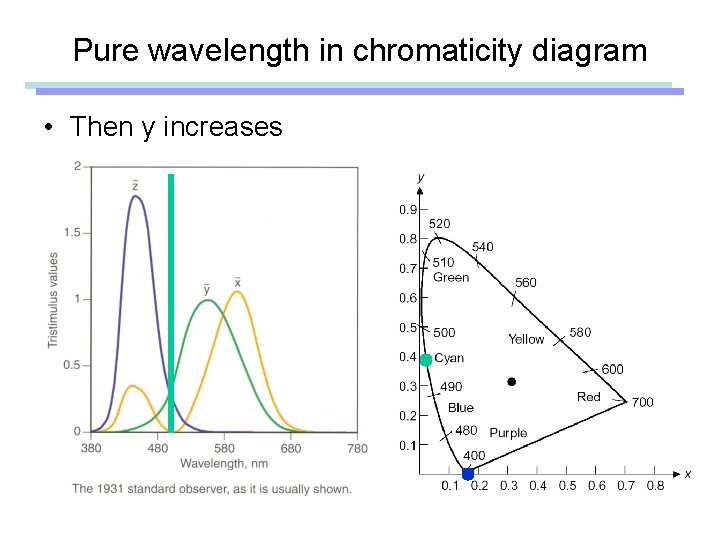 Pure wavelength in chromaticity diagram • Then y increases 