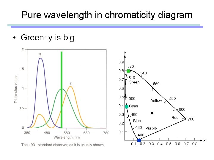 Pure wavelength in chromaticity diagram • Green: y is big 