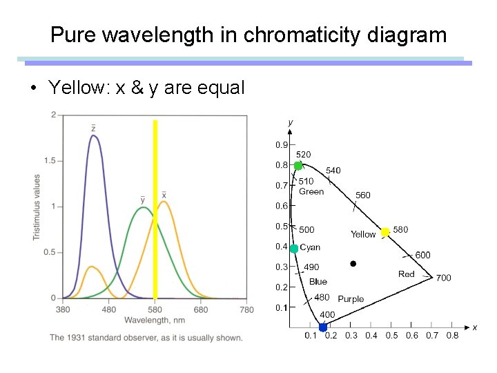Pure wavelength in chromaticity diagram • Yellow: x & y are equal 
