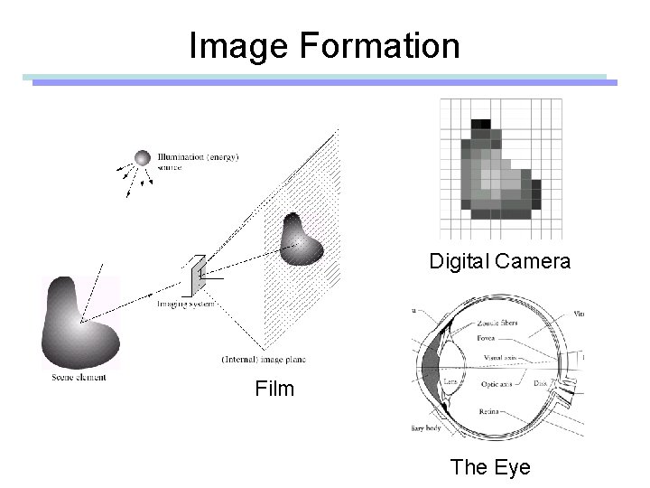 Image Formation Digital Camera Film The Eye 