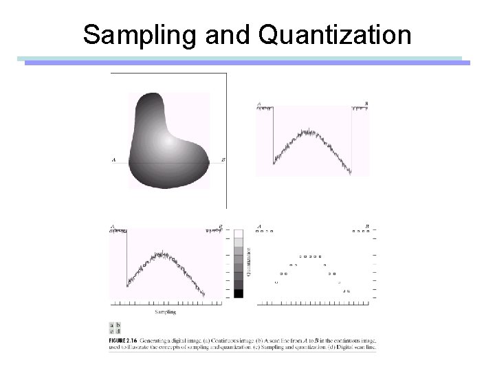 Sampling and Quantization 