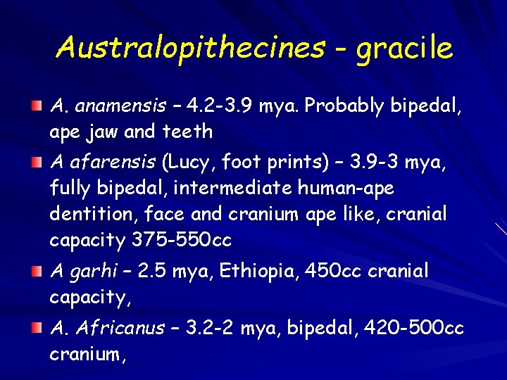 Australopithecines - gracile A. anamensis – 4. 2 -3. 9 mya. Probably bipedal, ape