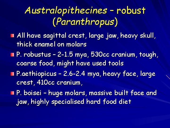 Australopithecines – robust (Paranthropus) All have sagittal crest, large jaw, heavy skull, thick enamel