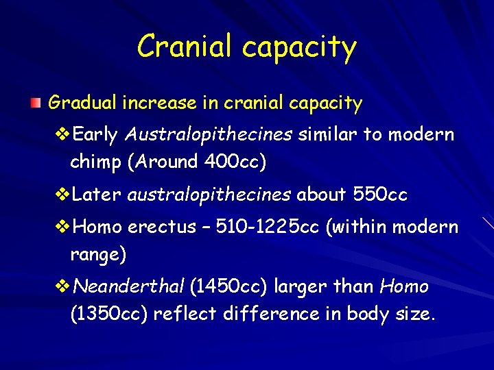 Cranial capacity Gradual increase in cranial capacity v. Early Australopithecines similar to modern chimp