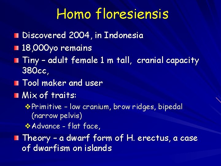 Homo floresiensis Discovered 2004, in Indonesia 18, 000 yo remains Tiny – adult female