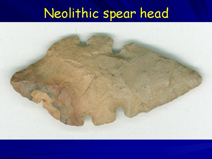 Neolithic spear head 