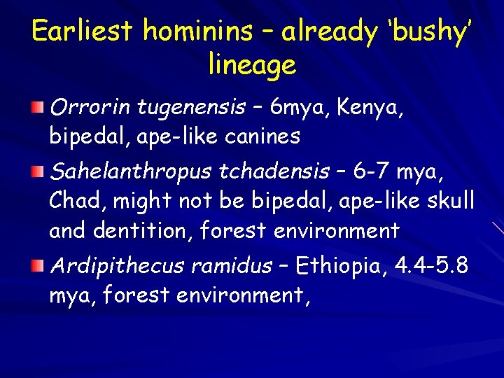 Earliest hominins – already ‘bushy’ lineage Orrorin tugenensis – 6 mya, Kenya, bipedal, ape-like