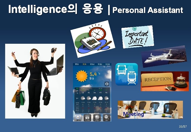 Intelligence의 응용 | Personal Assistant Meeting 33/57 