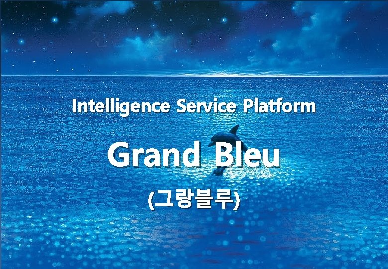 Intelligence Service Platform Grand Bleu (그랑블루) 
