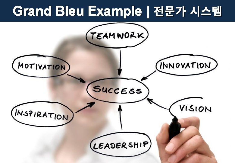 Grand Bleu Example | 전문가 시스템 52/57 