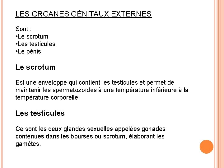 LES ORGANES GÉNITAUX EXTERNES Sont : • Le scrotum • Les testicules • Le