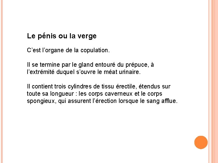 Le pénis ou la verge C’est l’organe de la copulation. Il se termine par