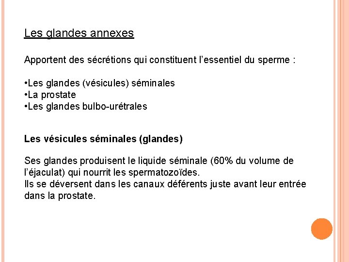 Les glandes annexes Apportent des sécrétions qui constituent l’essentiel du sperme : • Les