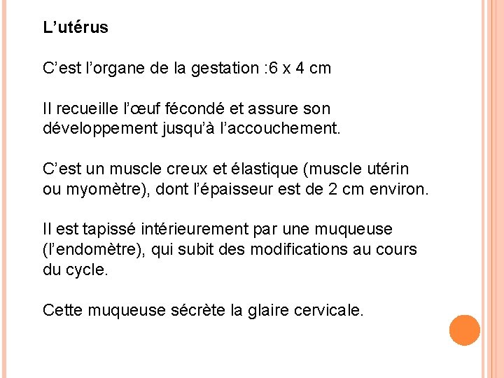 L’utérus C’est l’organe de la gestation : 6 x 4 cm Il recueille l’œuf