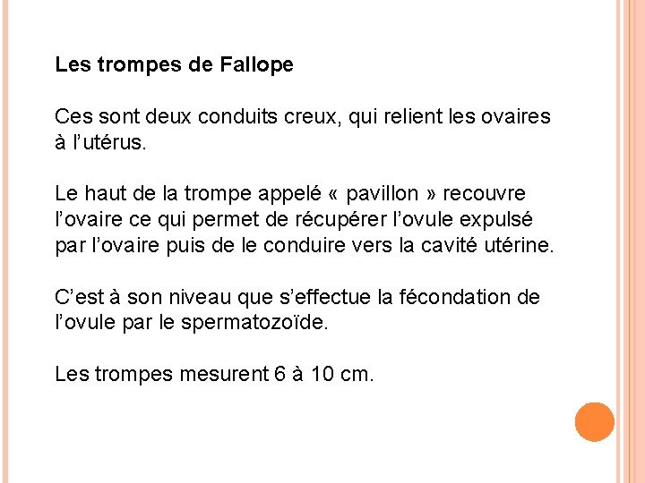 Les trompes de Fallope Ces sont deux conduits creux, qui relient les ovaires à