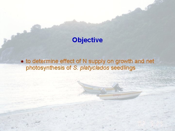 Objective to determine effect of N supply on growth and net photosynthesis of S.