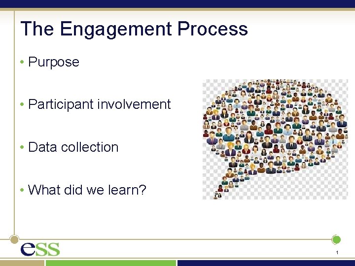 The Engagement Process • Purpose • Participant involvement • Data collection • What did