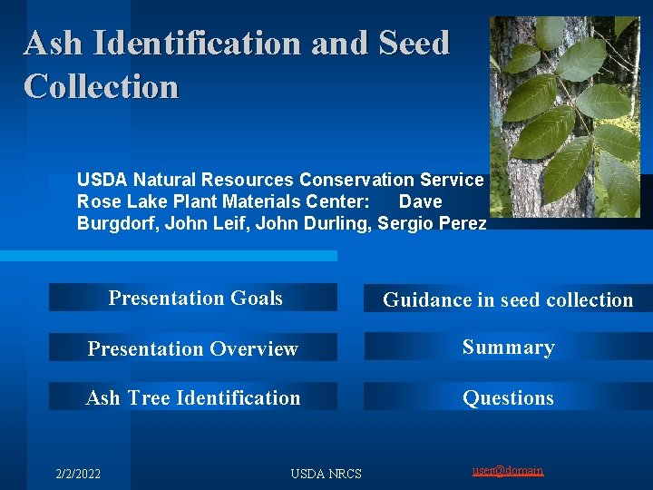 Ash Identification and Seed Collection USDA Natural Resources Conservation Service Rose Lake Plant Materials
